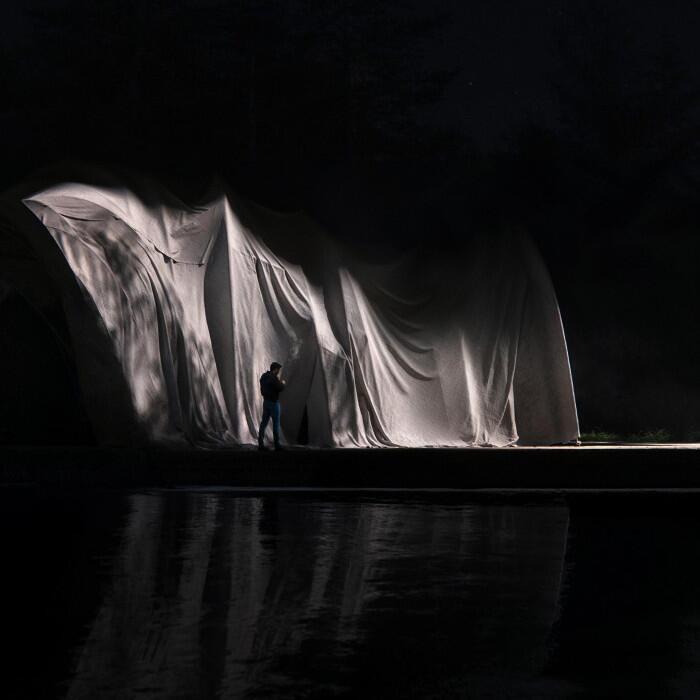 Swan